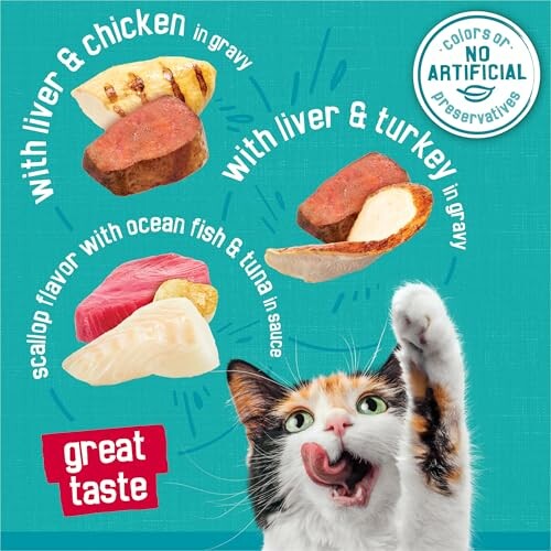 Happy cat enjoying Purina Friskies Wet Cat Food