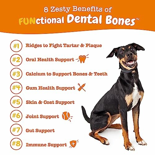 Dog with list of 8 benefits of dental bones including tartar control and immune support.