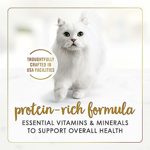 White cat enjoying protein-rich formula for health