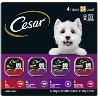 CESAR Adult Wet Dog Food Classic Loaf in Sauce variety pack with multiple flavors.