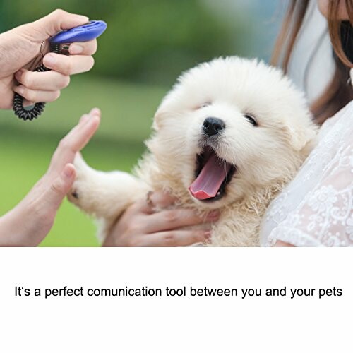 Person holding a fluffy puppy and using a training clicker.