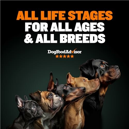 Dog Food Advisor ad showing various dog breeds with text 'All Life Stages for All Ages & All Breeds'.