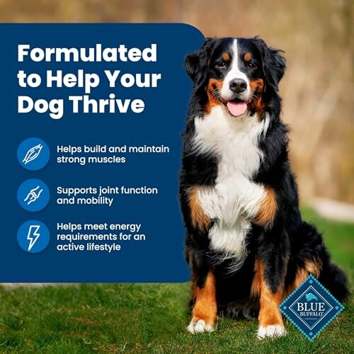 Dog sitting next to Blue Buffalo dog food benefits list