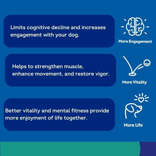 Infographic about dog health benefits including cognitive engagement, muscle strength, and vitality.