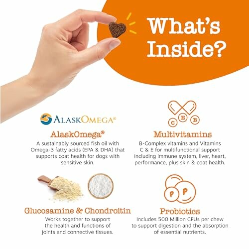 Hand holding heart-shaped dog treat with health supplements like AlaskOmega, Multivitamins, Glucosamine, and Probiotics.