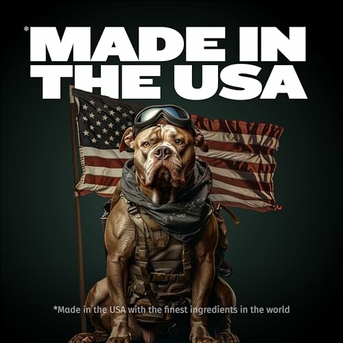 Dog in military gear with American flag and 'Made in the USA' text.