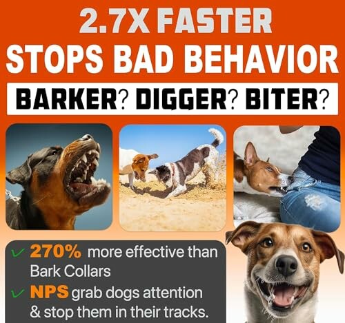 A dog training ad highlighting faster results and effectiveness over bark collars.