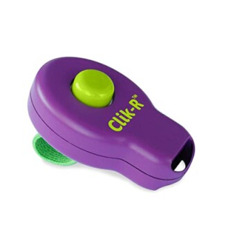 Purple and green dog training clicker device