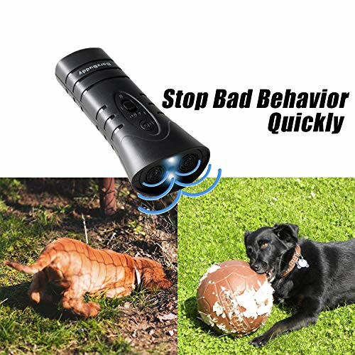 Dog training device with two dogs and a ball