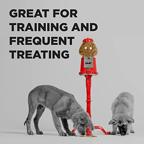 Two dogs eating treats from a red dispenser