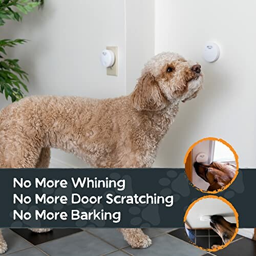 Dog using a doorbell on a wall with text 'No More Whining, No More Door Scratching, No More Barking'.