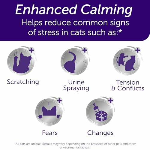 Enhanced calming infographic for cats showing stress signs: scratching, urine spraying, tension, fears, changes.