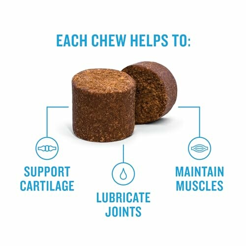 Joint health chews promoting cartilage support, joint lubrication, and muscle maintenance.