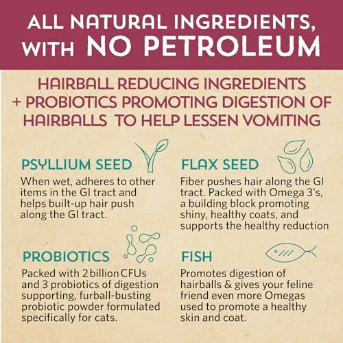 Infographic about natural ingredients for cat digestion, highlighting psyllium seed, flax seed, probiotics, and fish.