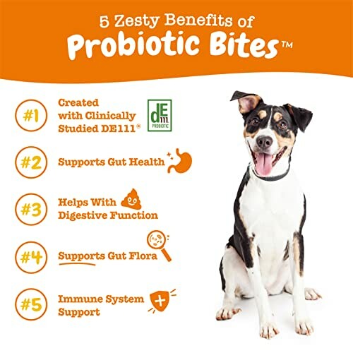 Dog with list of 5 benefits of Probiotic Bites.