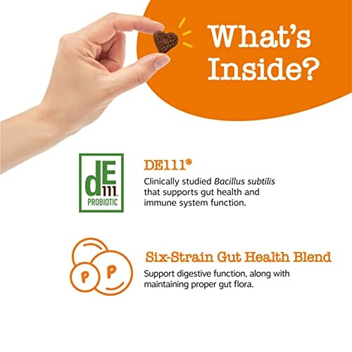 Hand holding a heart-shaped item, highlighting DE111 probiotic and gut health blend benefits.