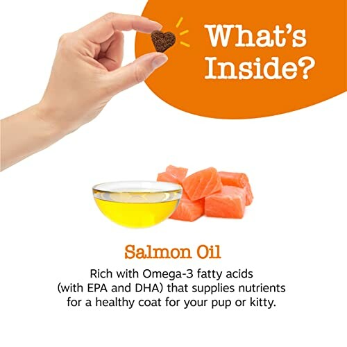 Hand holding pet treat with salmon oil and salmon chunks.