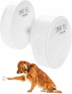 Dog interacting with a smart bell training device.