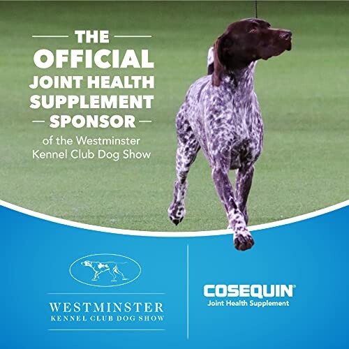 Dog running with Westminster and Cosequin logos